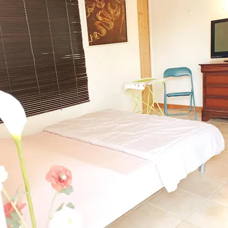 Avec Jardin Et Piscine A Lejlighed