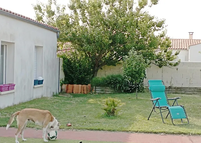 Avec Jardin Et Piscine A Apartamento